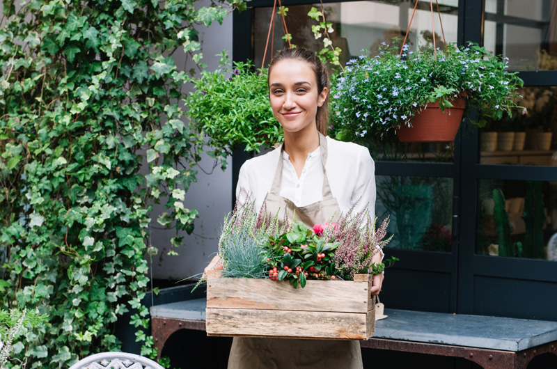 The Great Inversion: Why Agility Now Outranks Scale