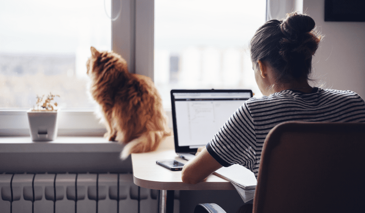 Barracuda How hybrid/remote work opens up new security risks Softchoice