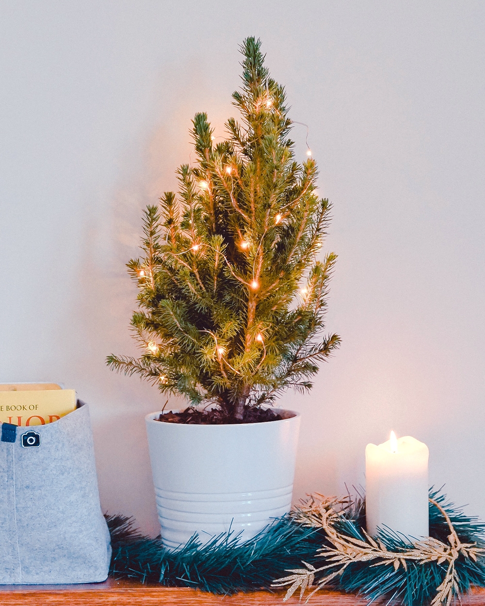 Small green potted plant with fairy lights, yellow book in felt bag, dark green garland, and a lit white candle.