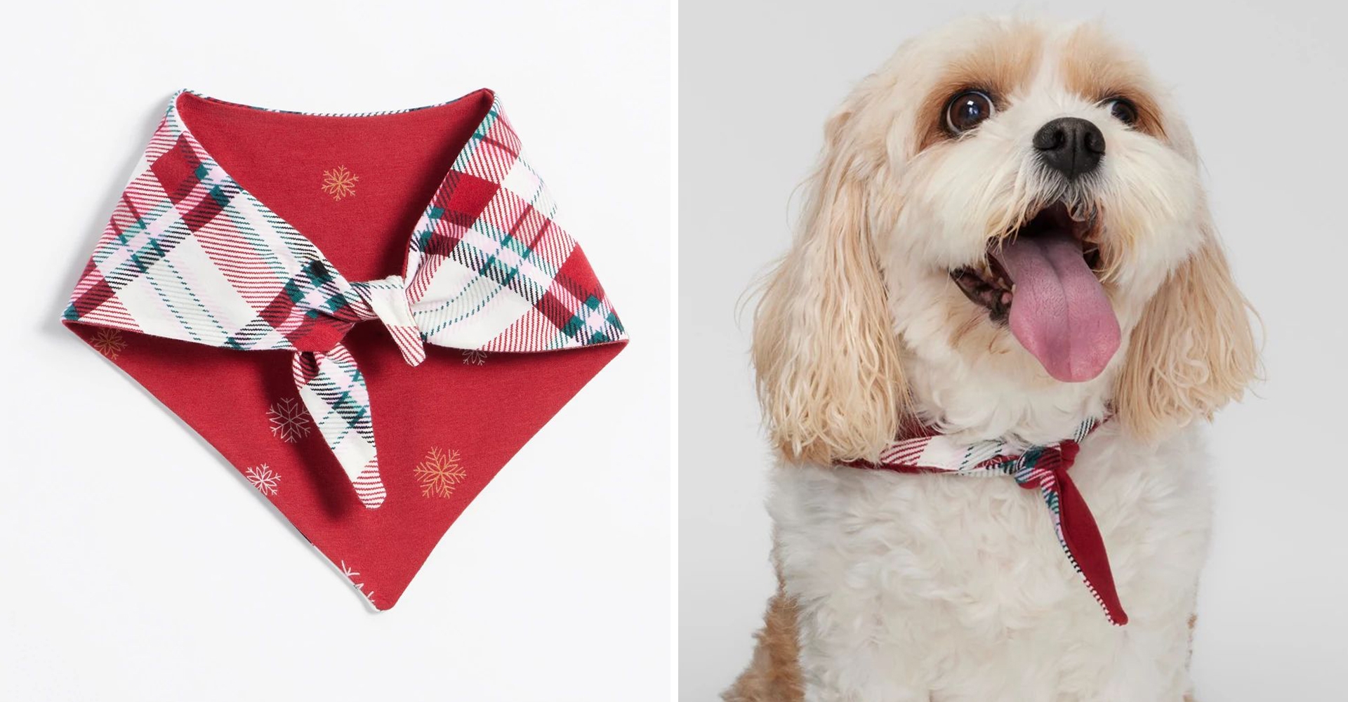 Soma<sup class=st-superscript>®</sup> laydown of reversible red plaid and snowflake pet bandana next to small white dog wearing bandana.