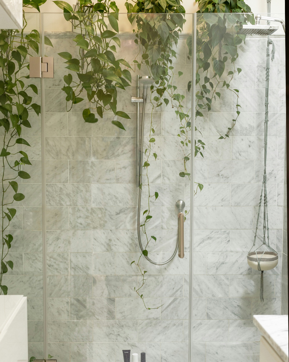 Marble-tile shower with silver shower heads, hanging pot, and lush green hanging plants.