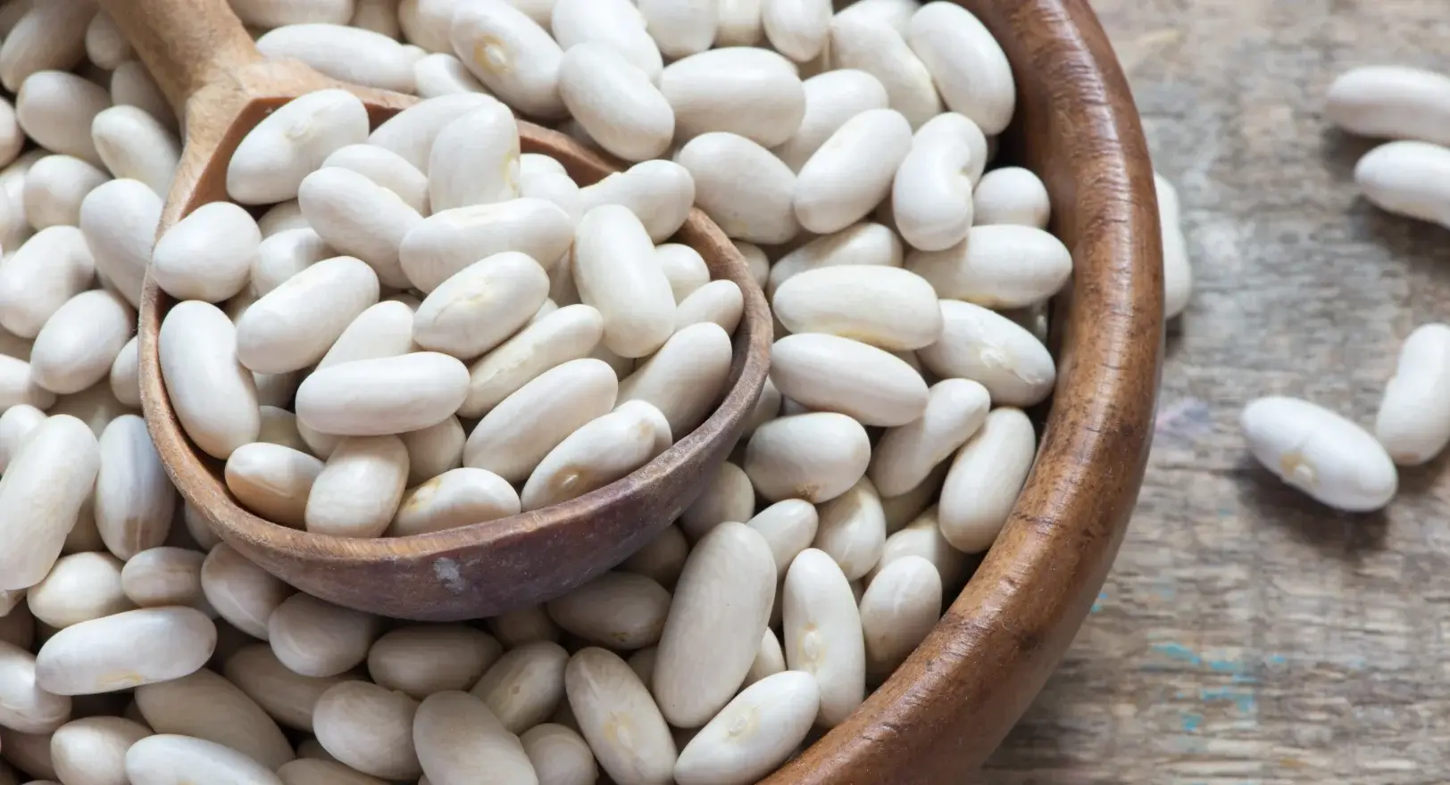 Close up of a bowl of white beans.