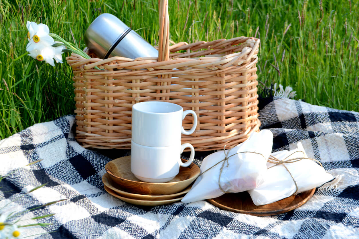 picnic-supplies at the park.