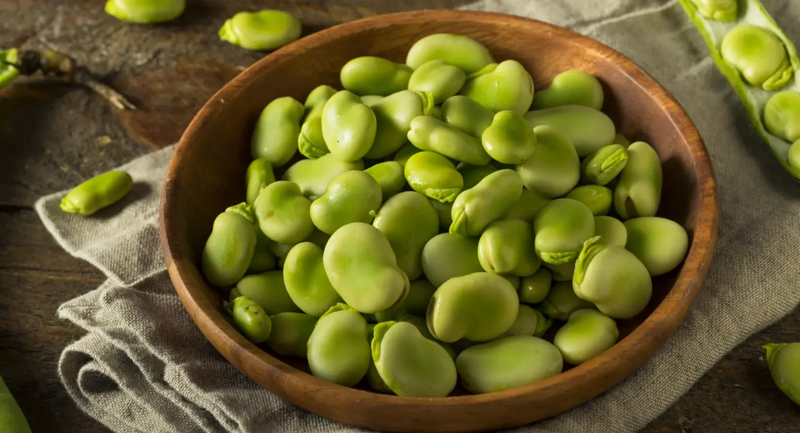 Close up of fava beans.