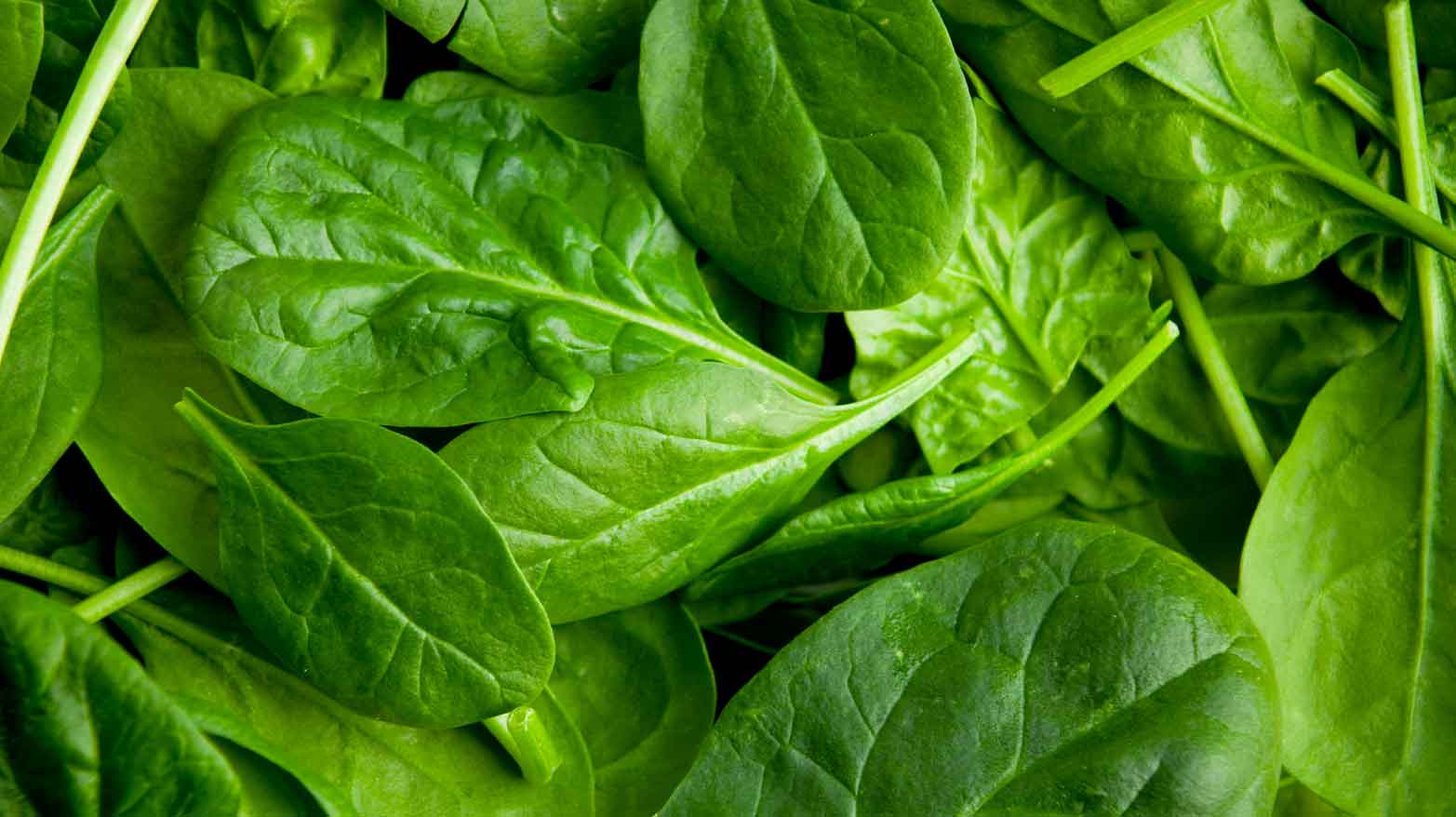 Spinach was used as ink in medieval times.