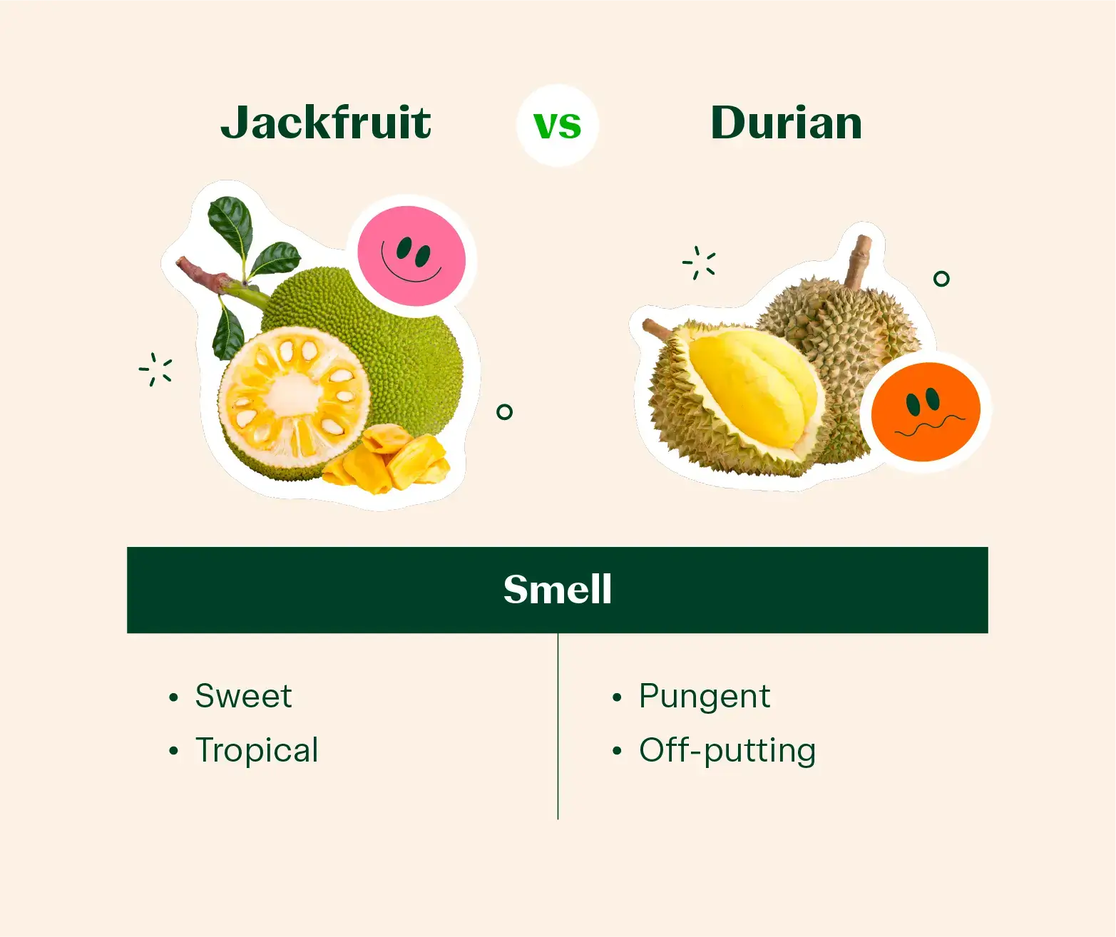 graphic comparing the smell of durian vs jackfruit