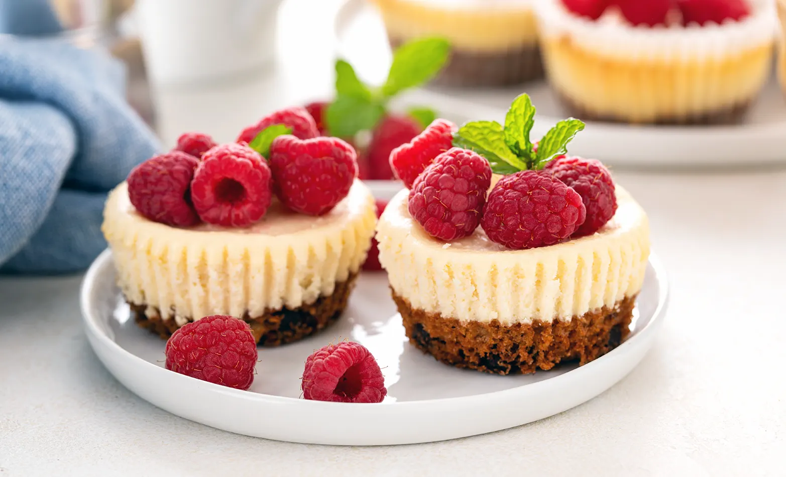 Mini cheesecake cups