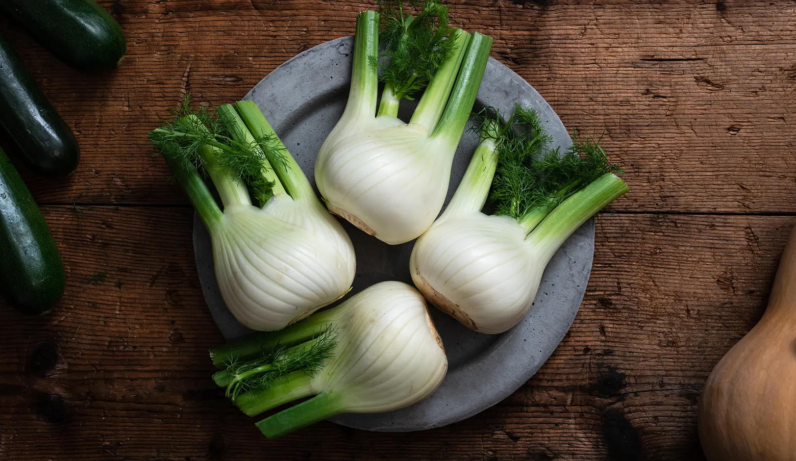 23-florence-fennel.webp
