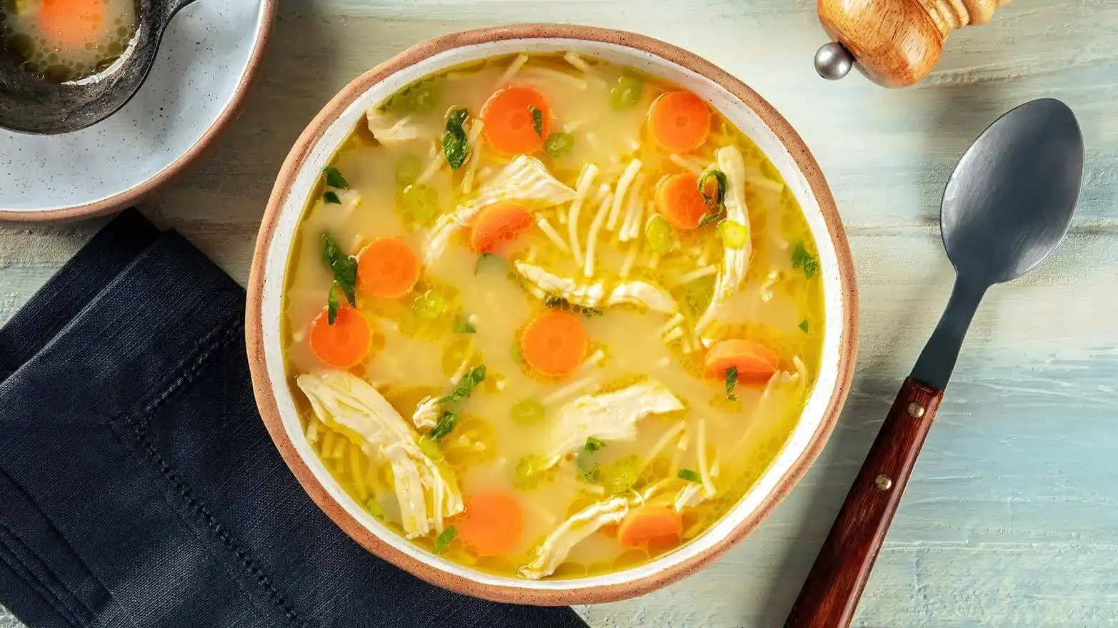 Chicken noodle soup