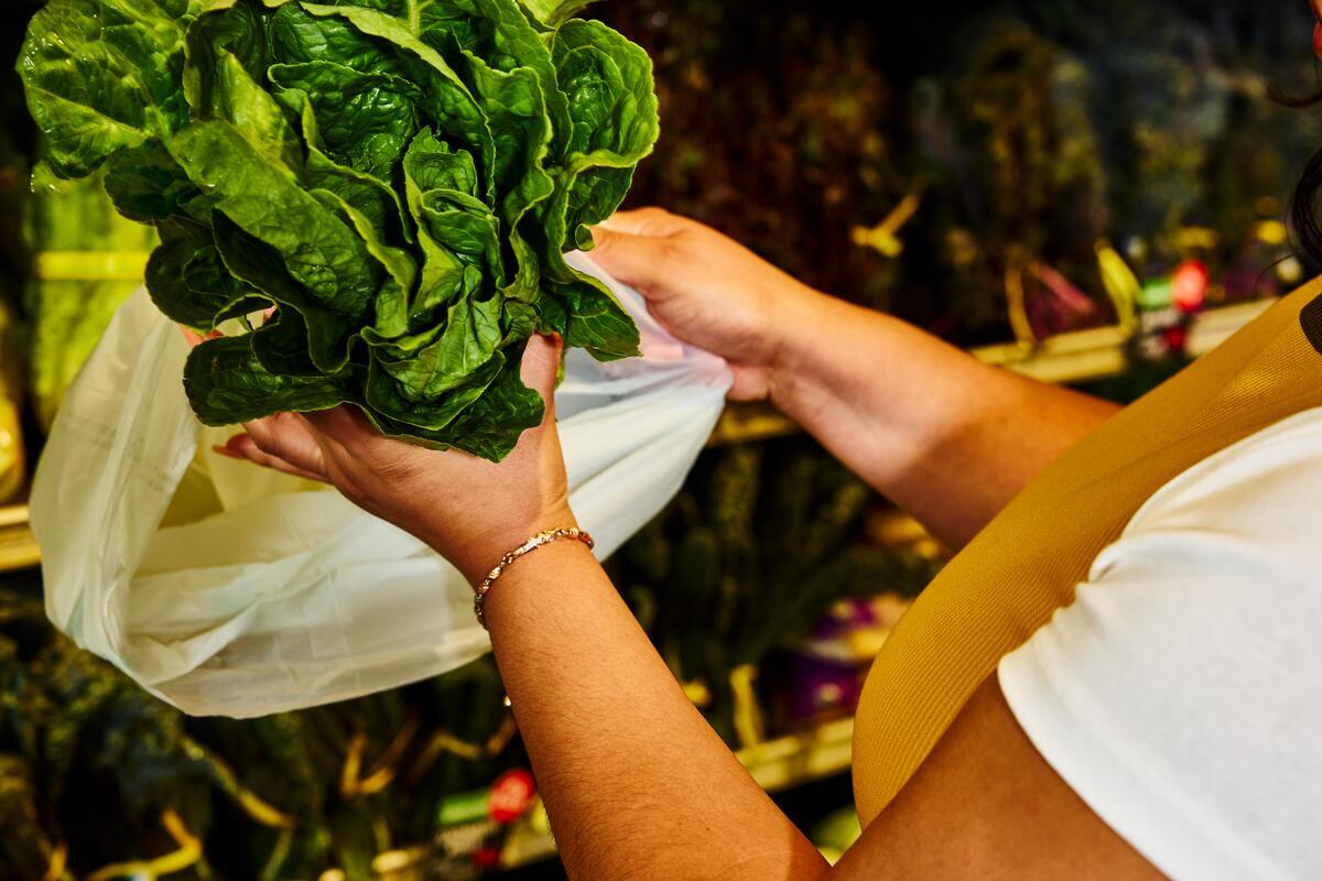 Swiss Chard