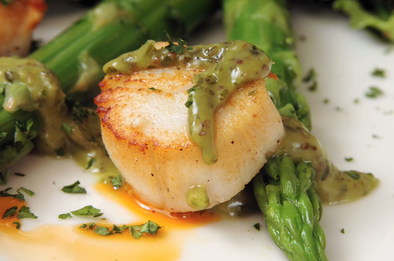 Sea scallop with green asparagus sauce