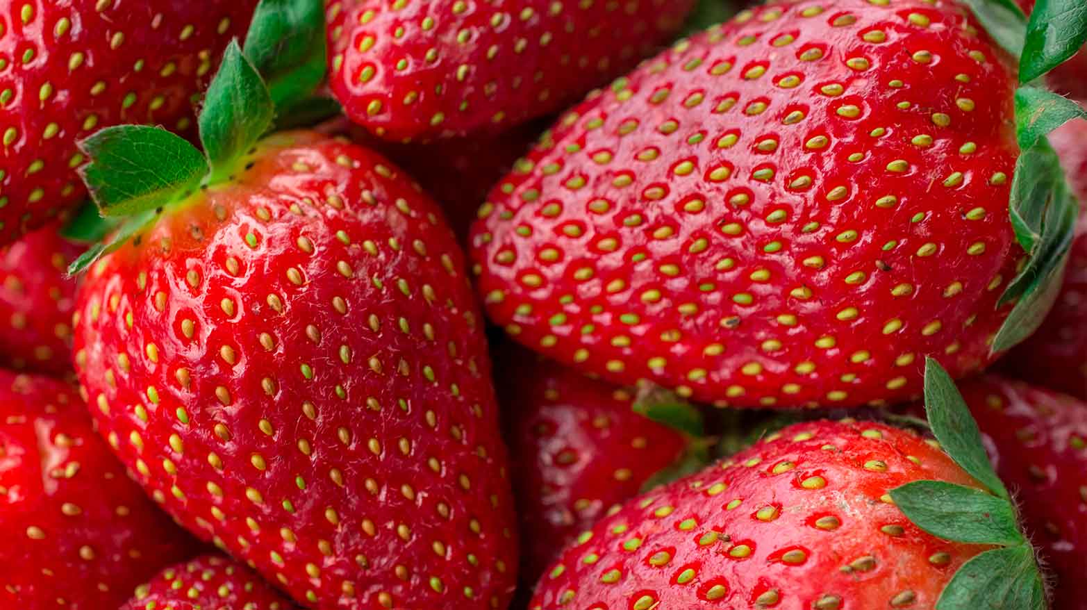 Strawberries are the only fruit with seeds on the outside.