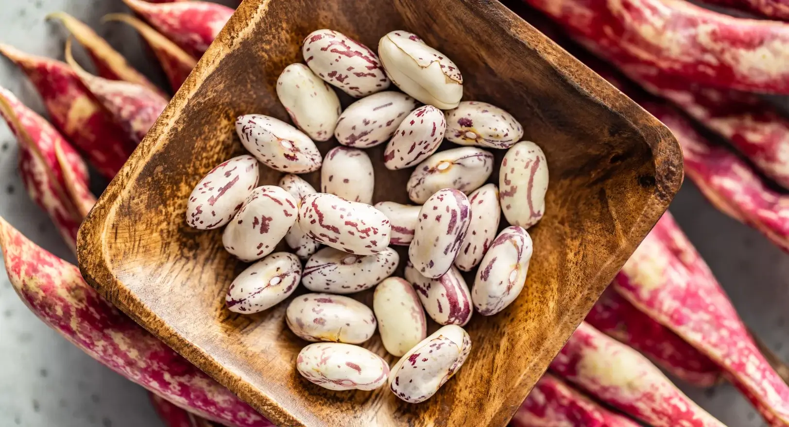 Close up of cranberry beans