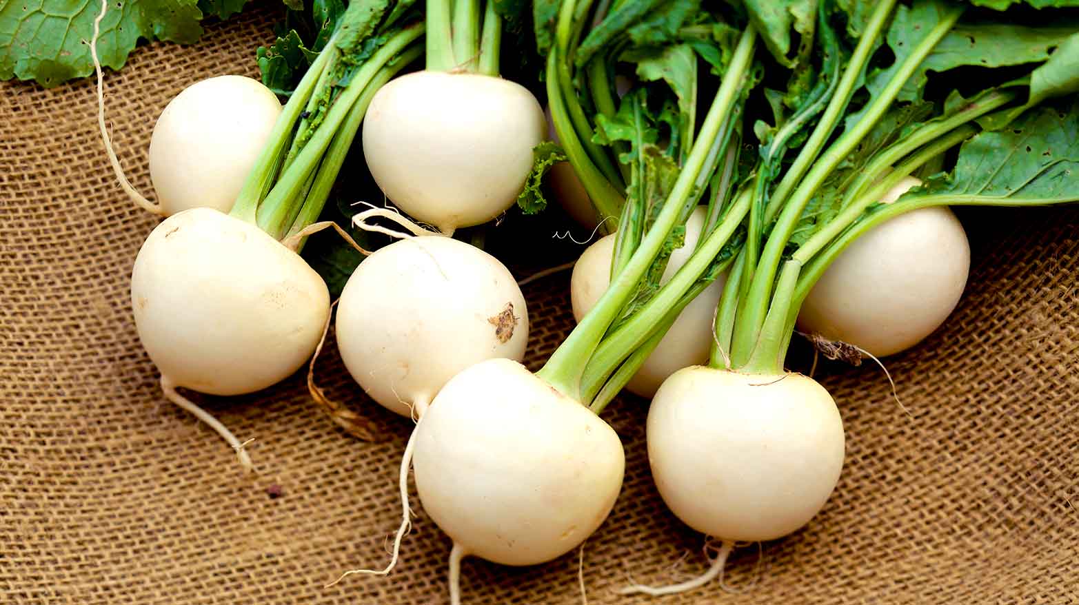 A pile of turnips