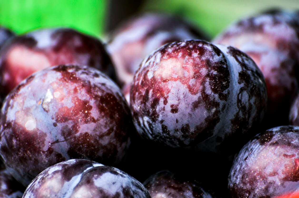Fresh raft plums in the market