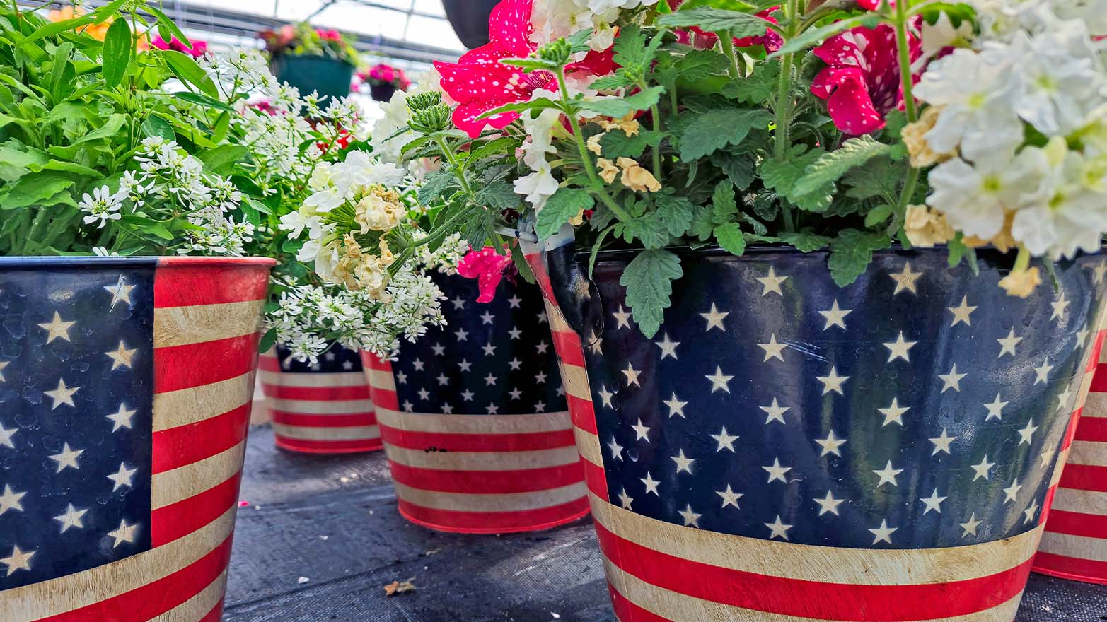 Memorial Day planters