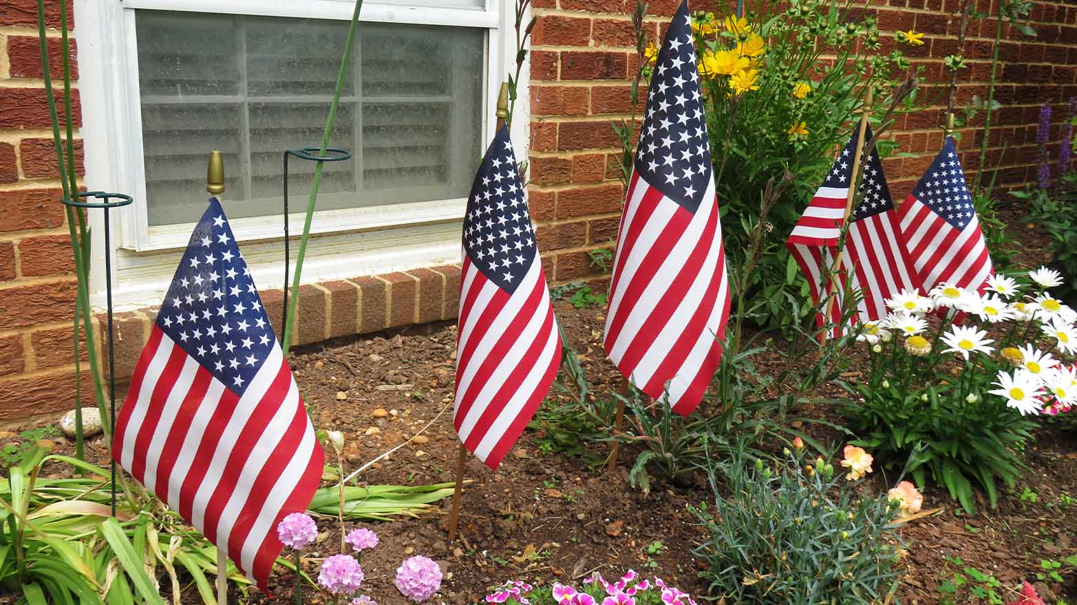 Memorial Day flag garden