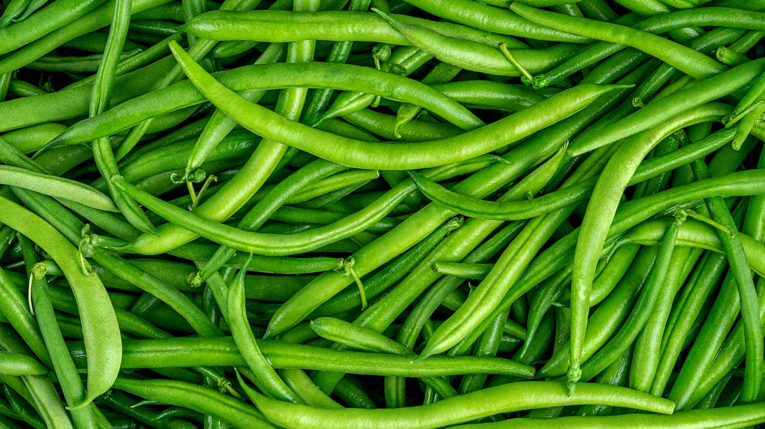 A pile of green beans