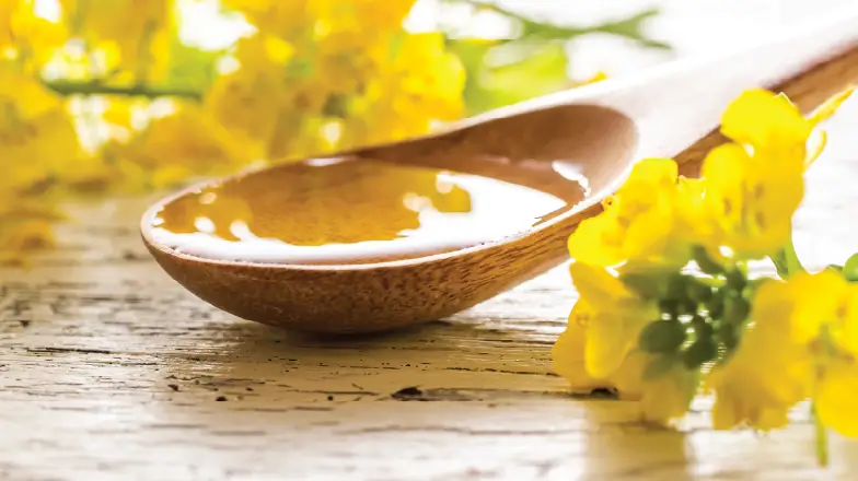 canola oil on a wooden spoon