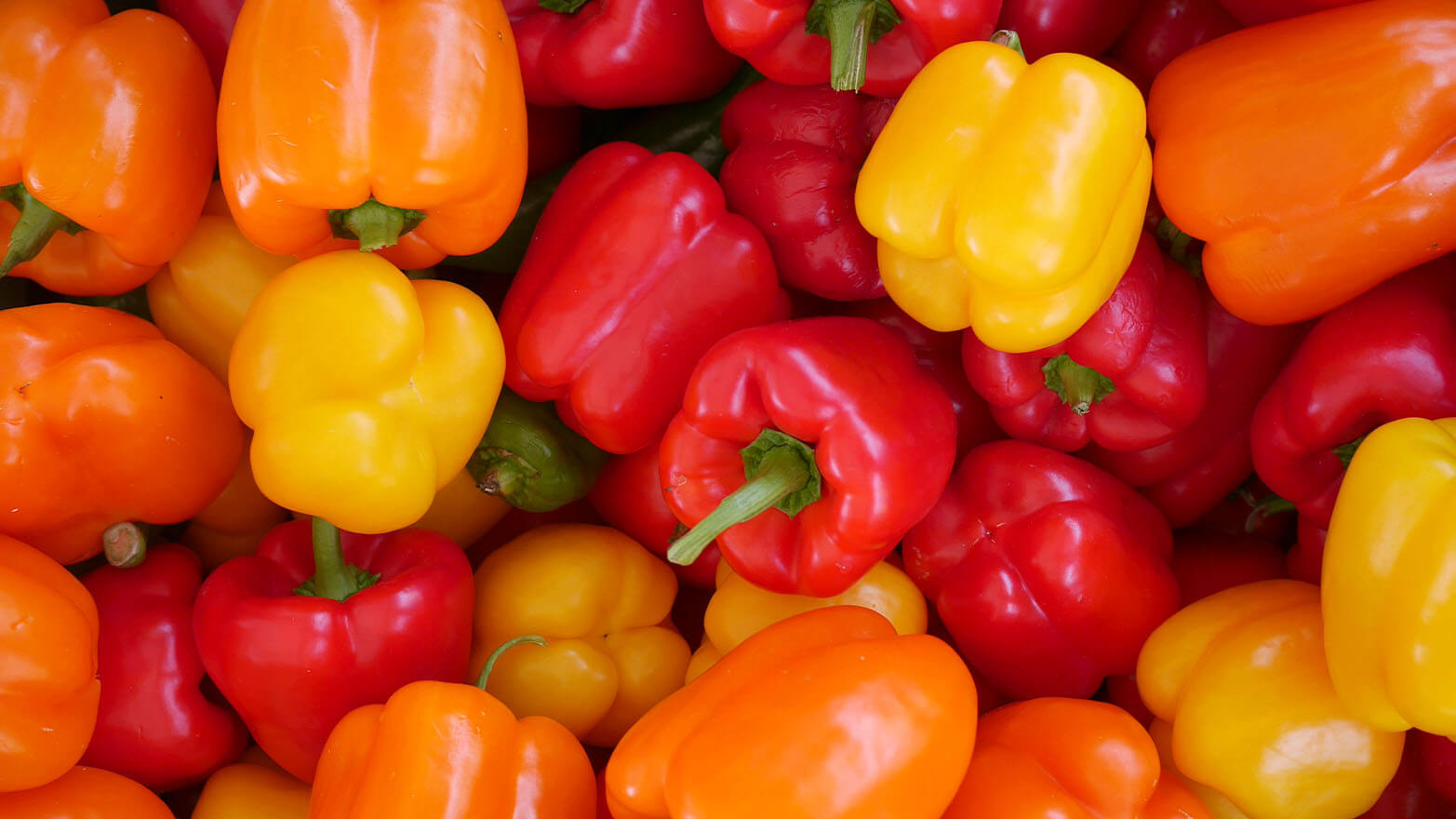 Bell peppers summer vegetable.