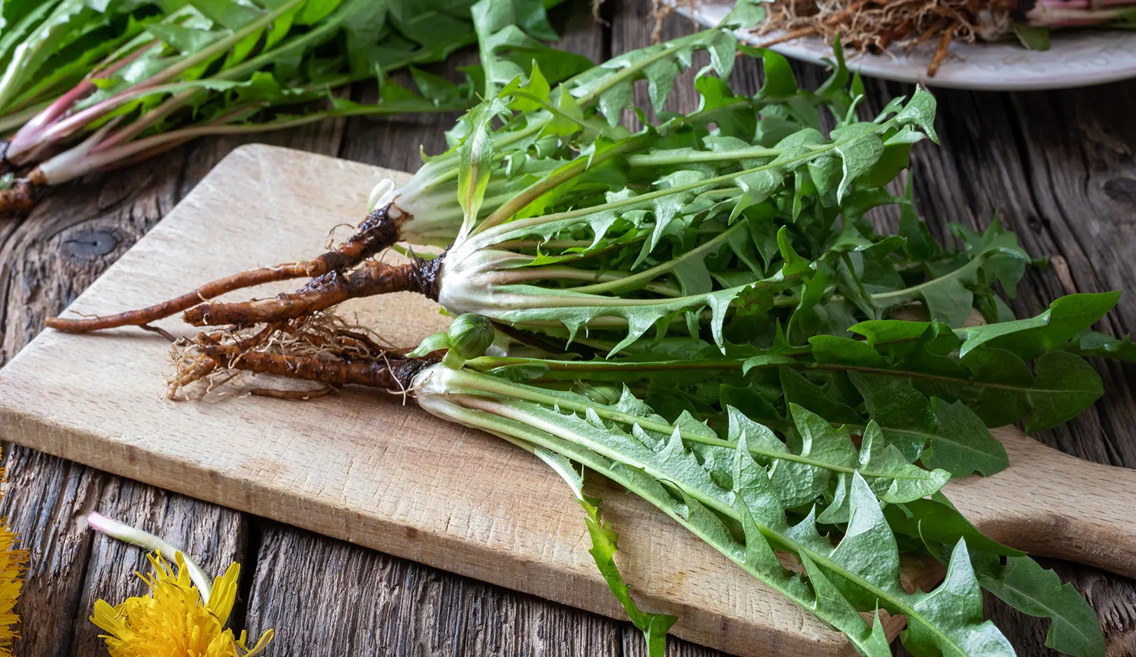 20-dandelion-greens.webp