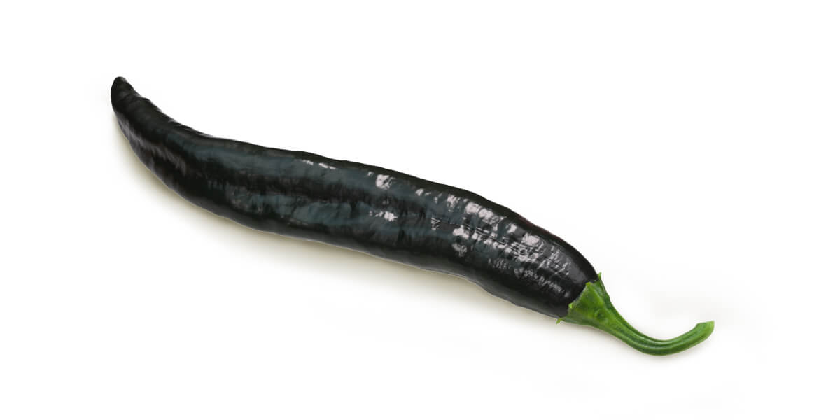 Pasilla Peppers – All You Need to Know | Guide to Fresh Produce