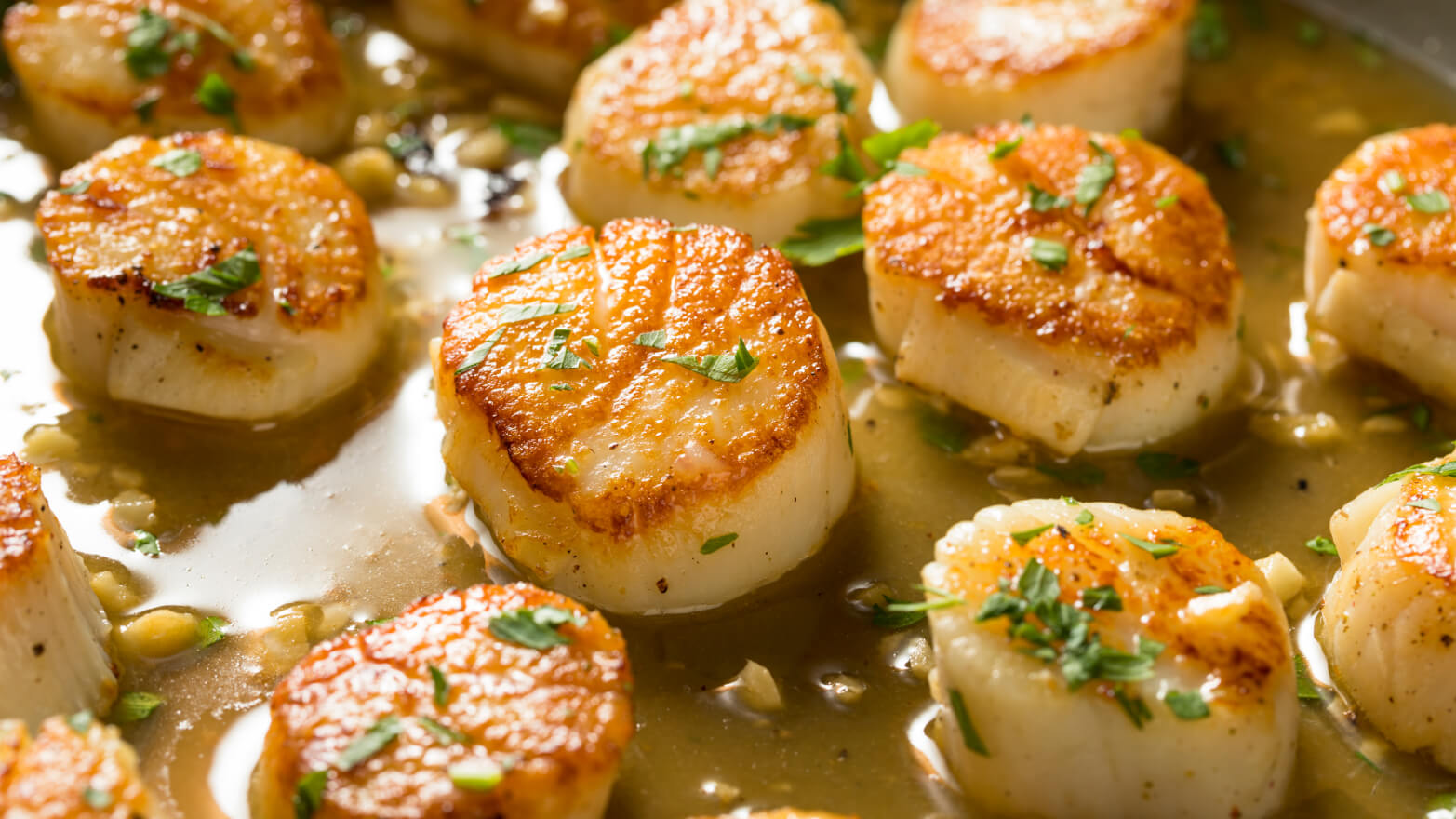 13-seared-scallops.jpg