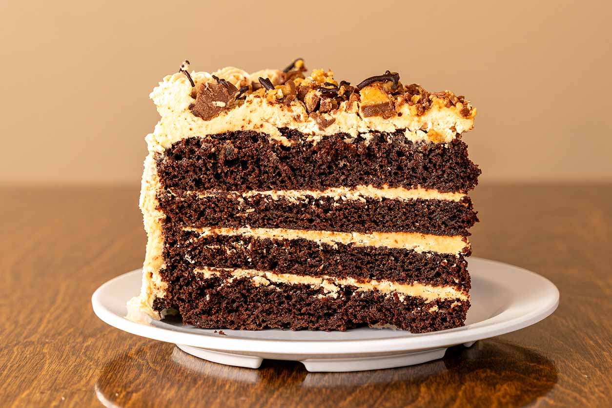 chocolate peanut butter cake