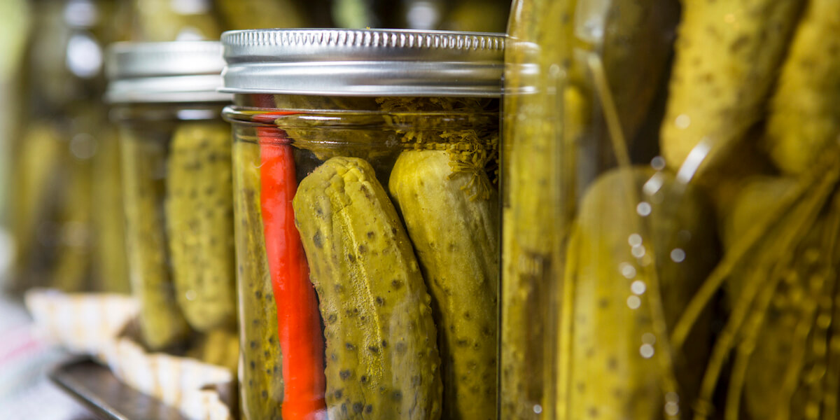Jars of homemade dill pickles.