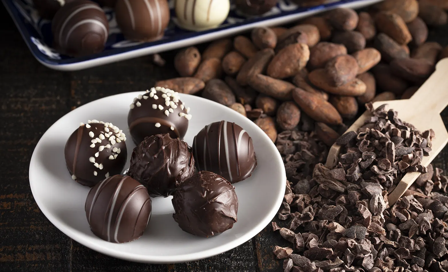 dark chocolate truffles