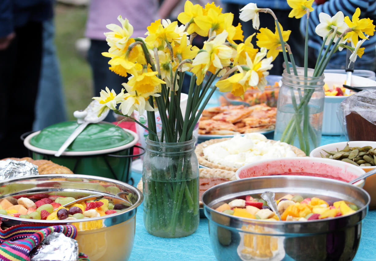 Potluck or Picnic in Spring