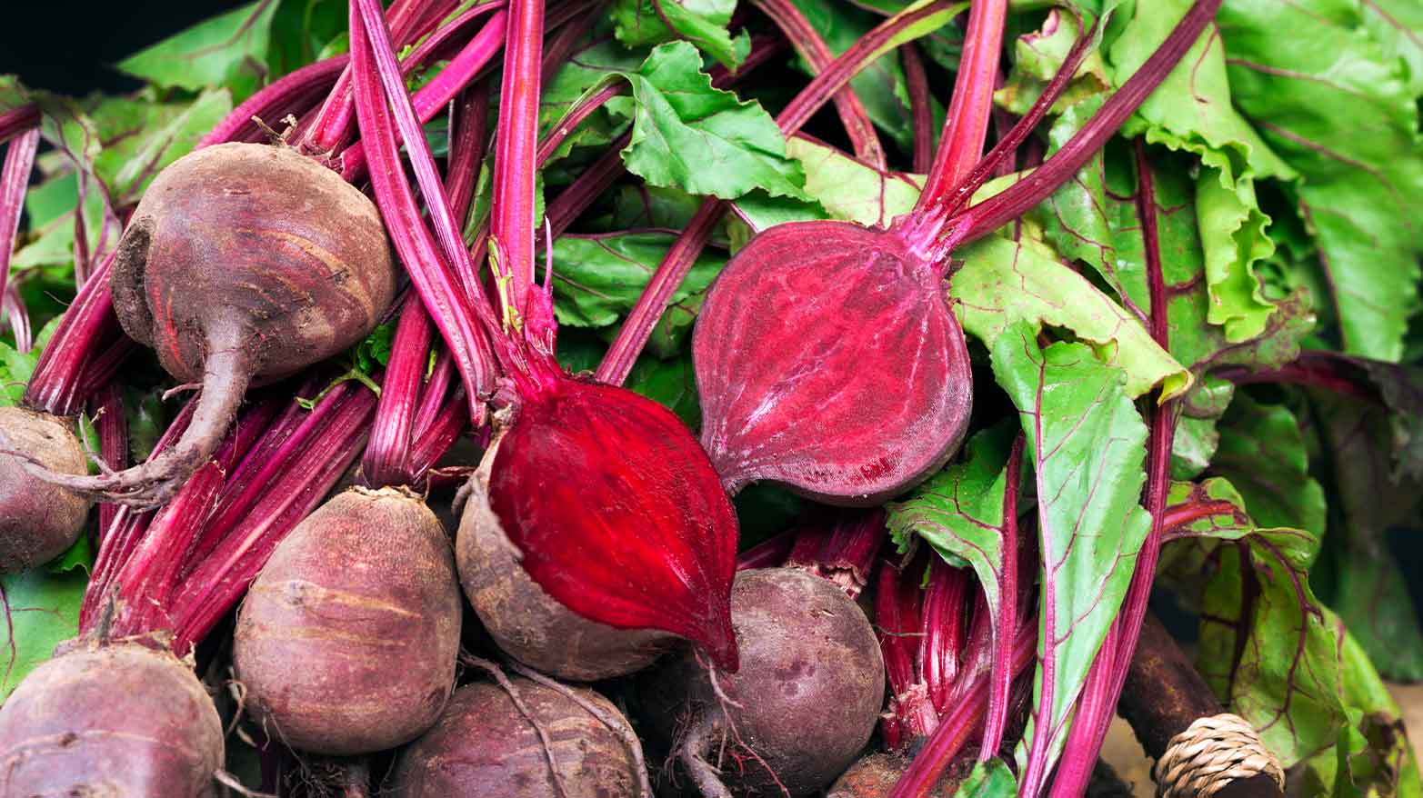 Freshly picked beets laid out