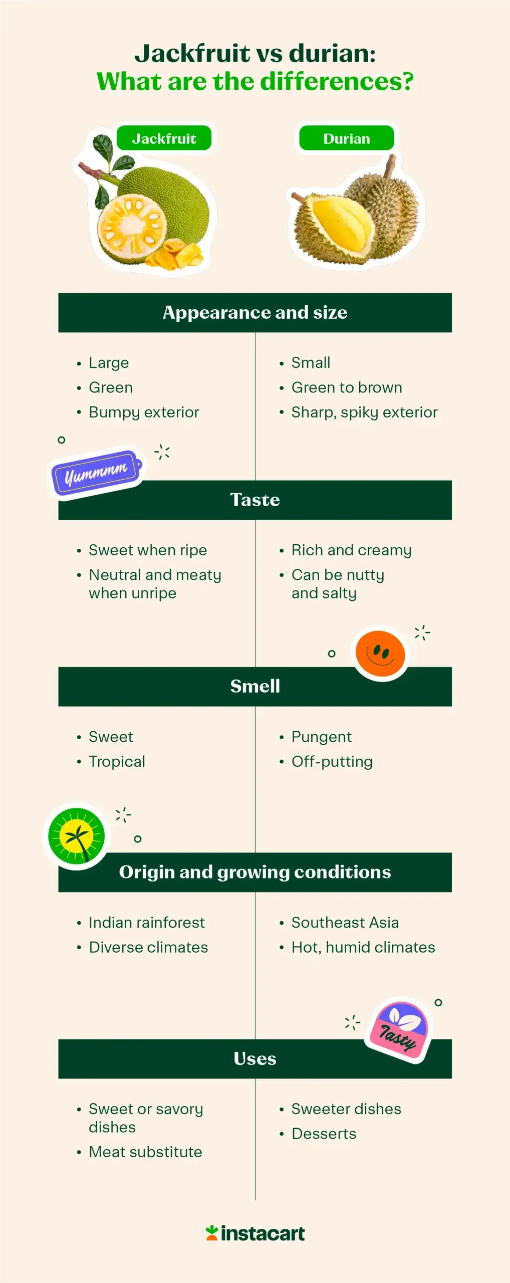 jackfruit vs durian illustrated comparison