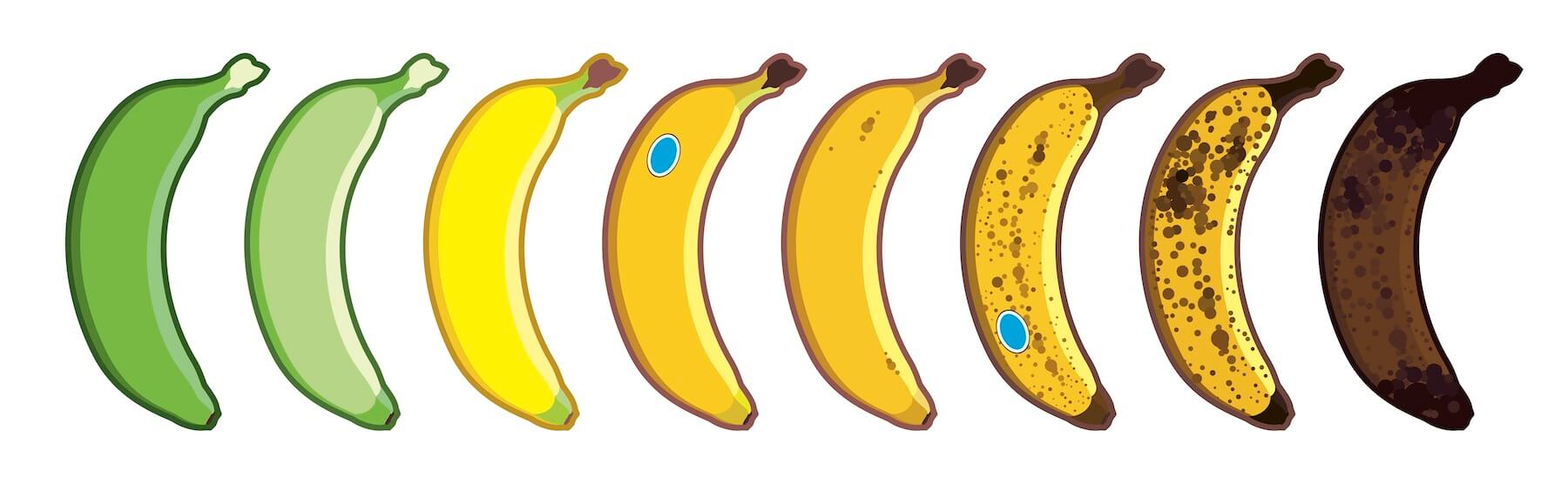 series of bananas