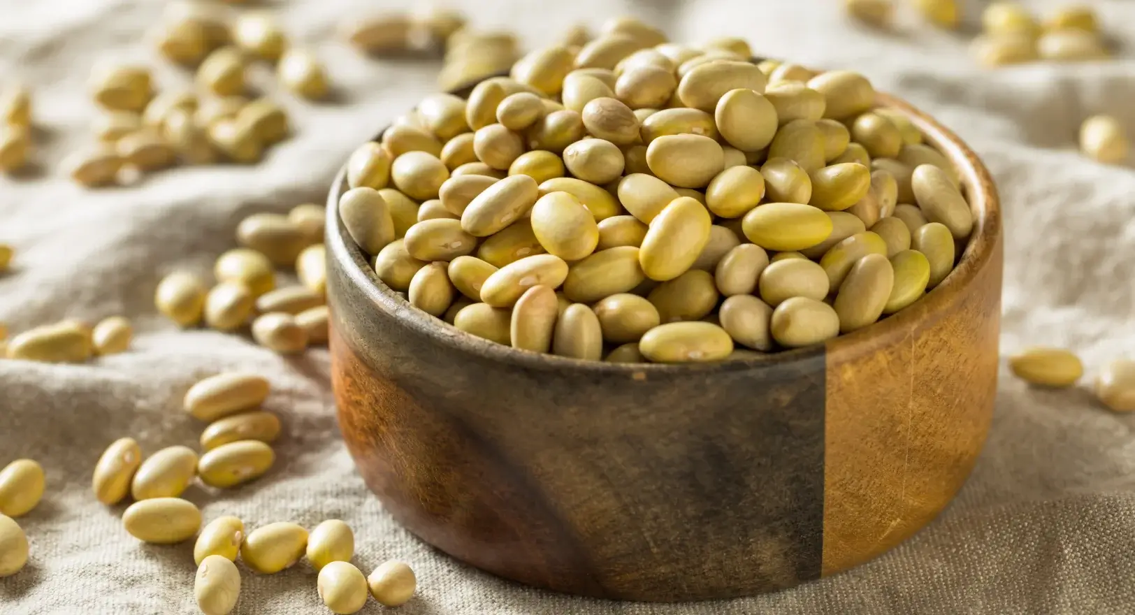 Close up of mayocoba beans