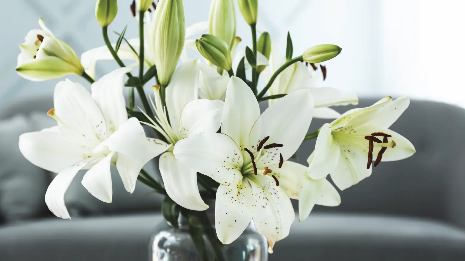 Elegant white lilies in a glass vase, a traditional sympathy flower for funerals and condolences.
