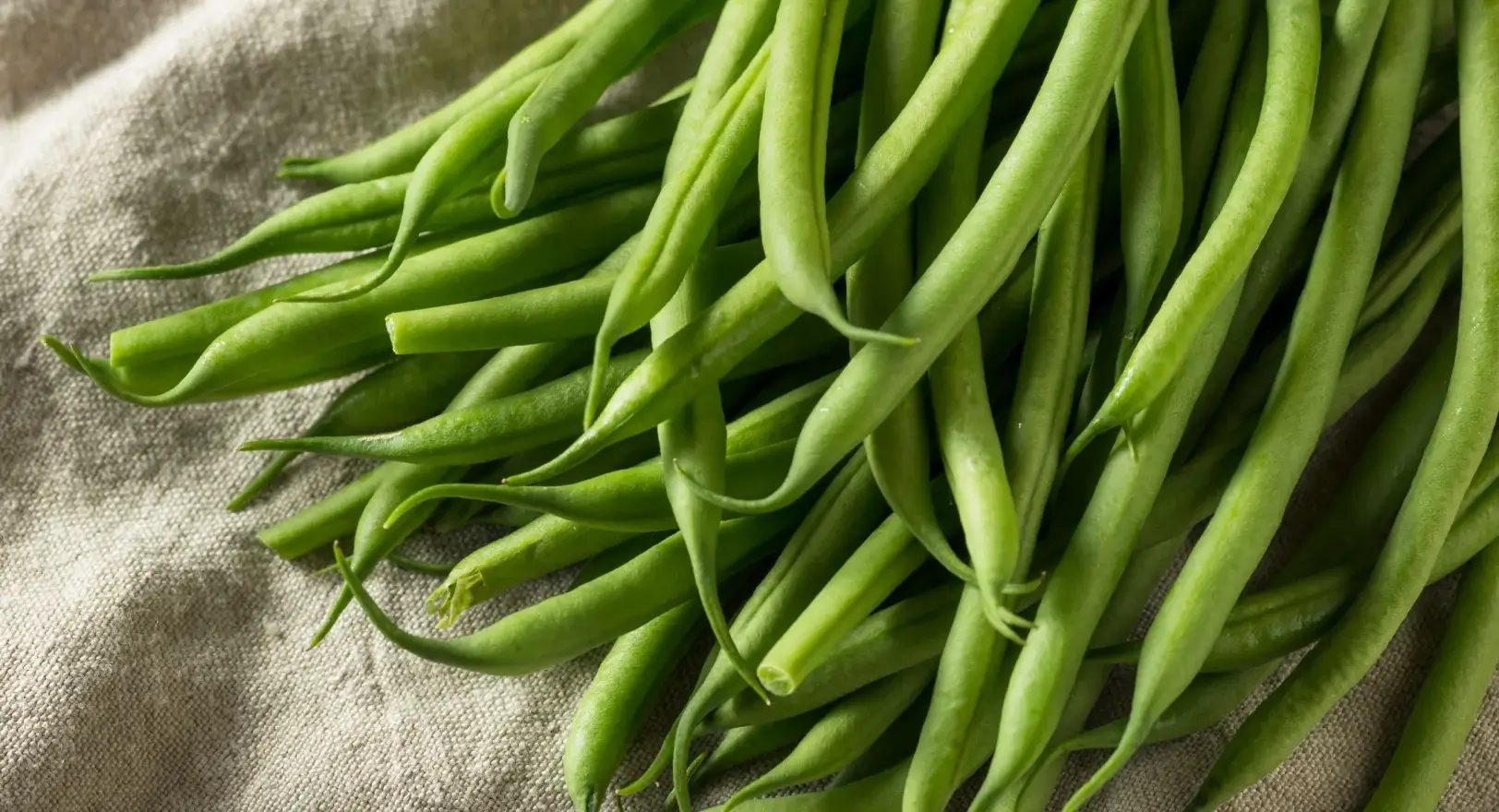 Close up of green beans.