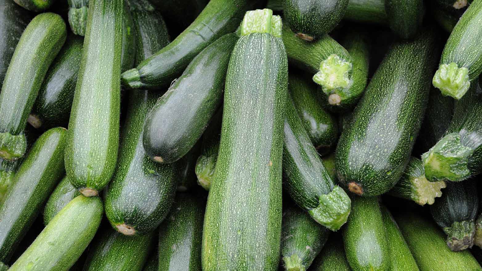 Zucchini summer vegetable.
