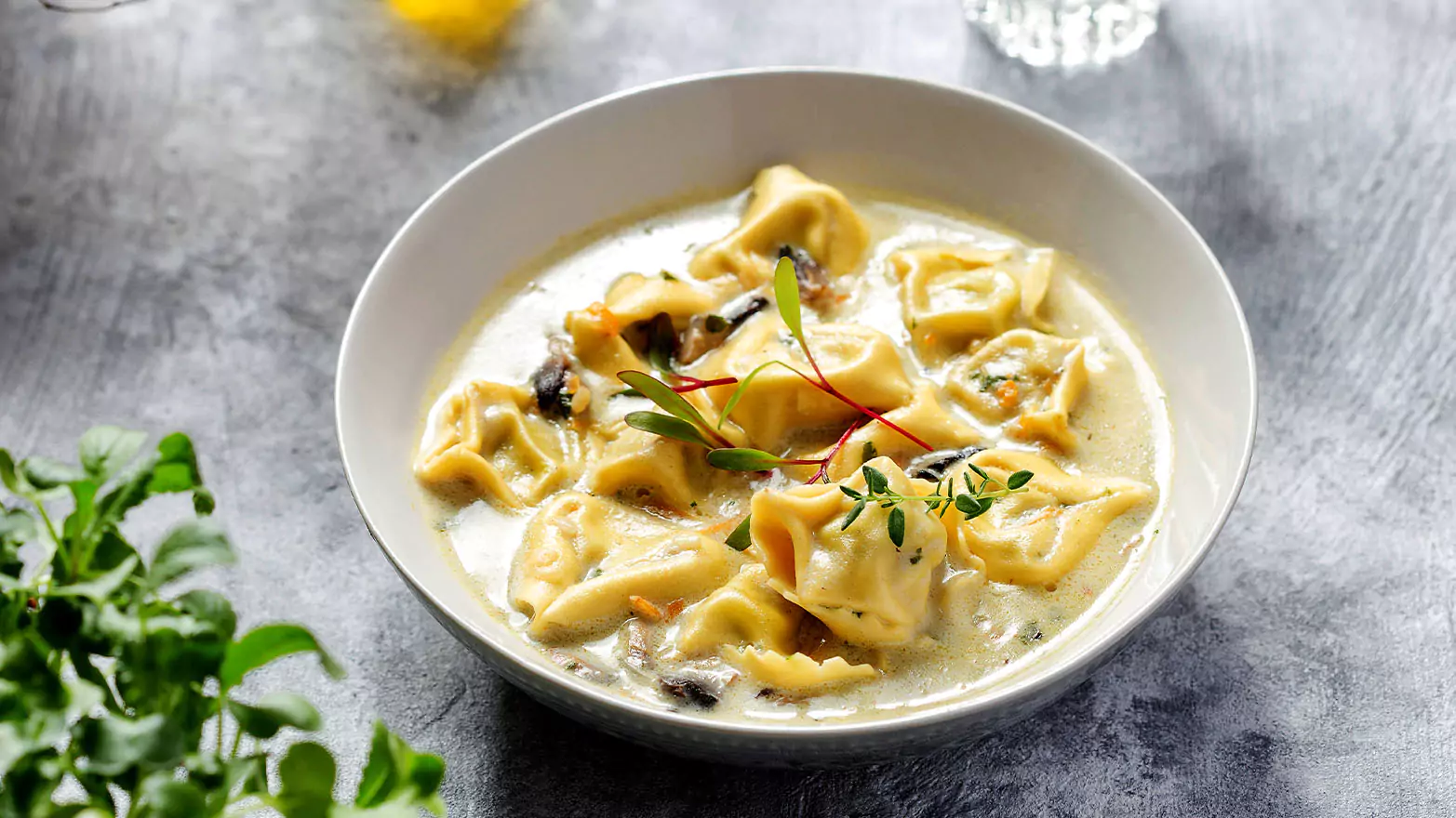 A bowl of chicken tortellini soup.