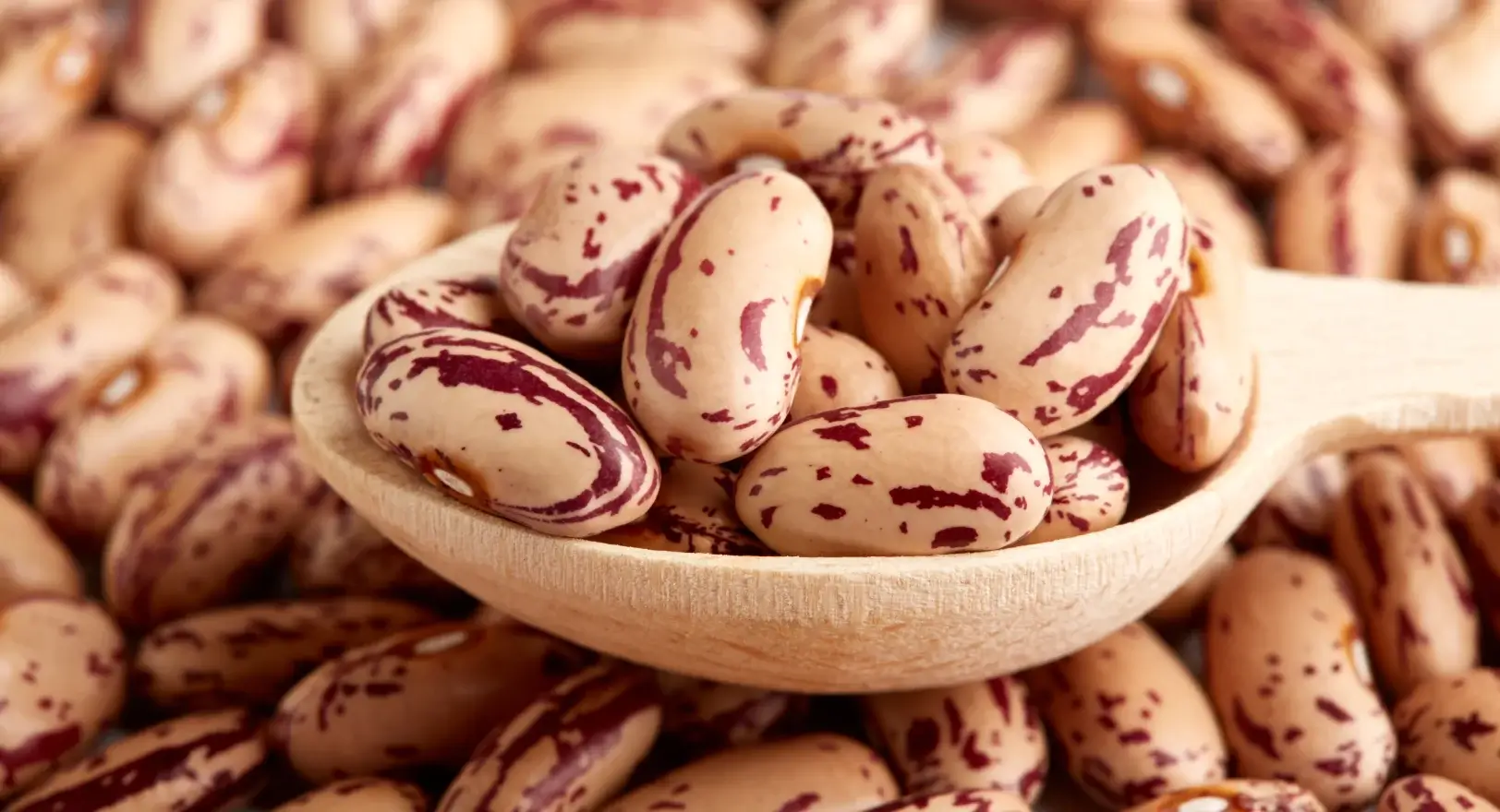 Close up of pinto beans.