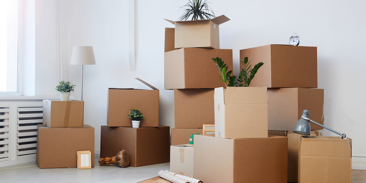 Minimal background image of cardboard boxes stacked in empty room with plants and personal belongings inside,
