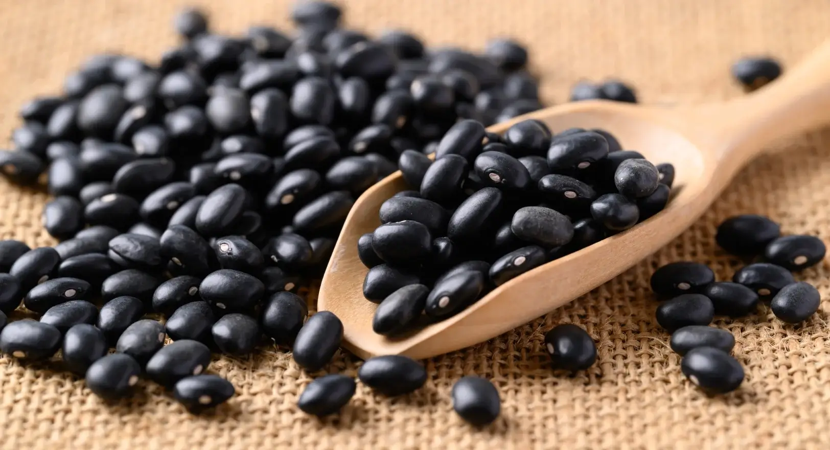 Close up of black beans.