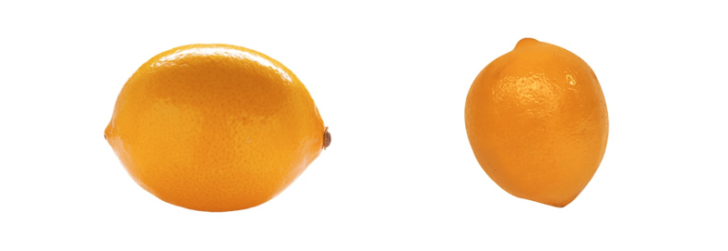 1VqyCLuanZ7lh2Hz36o6LyA