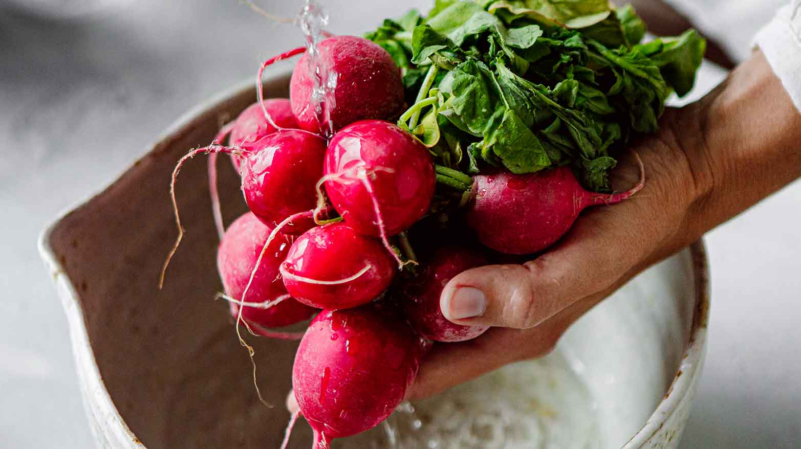 Someone washing a bushel of radishes