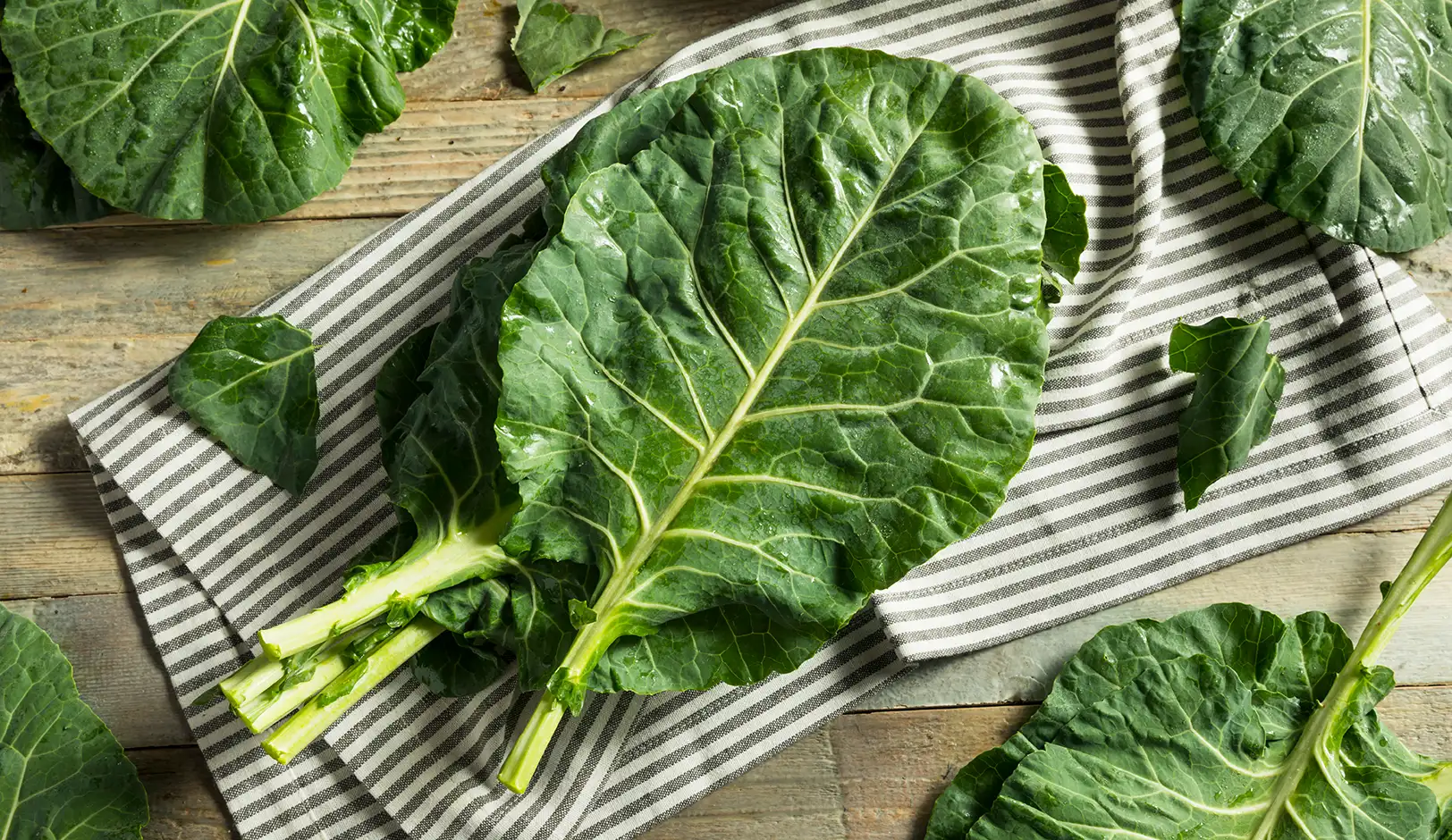 17-collard-greens.webp