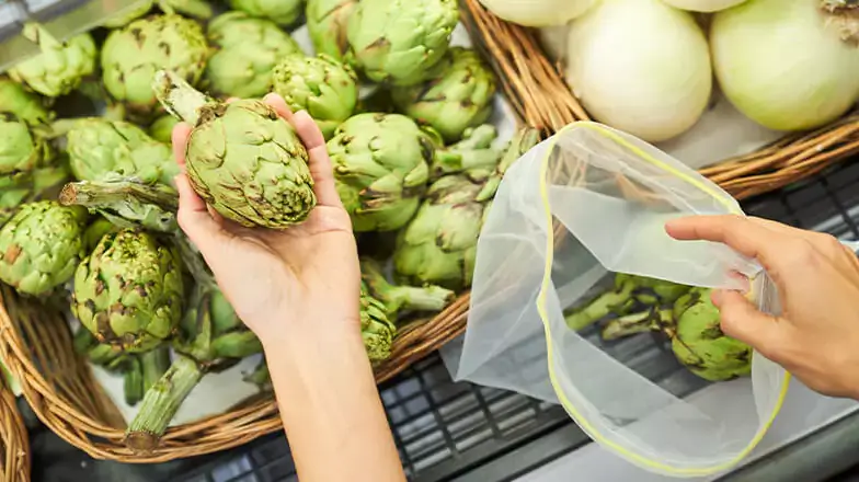 person picking ripe artichokes