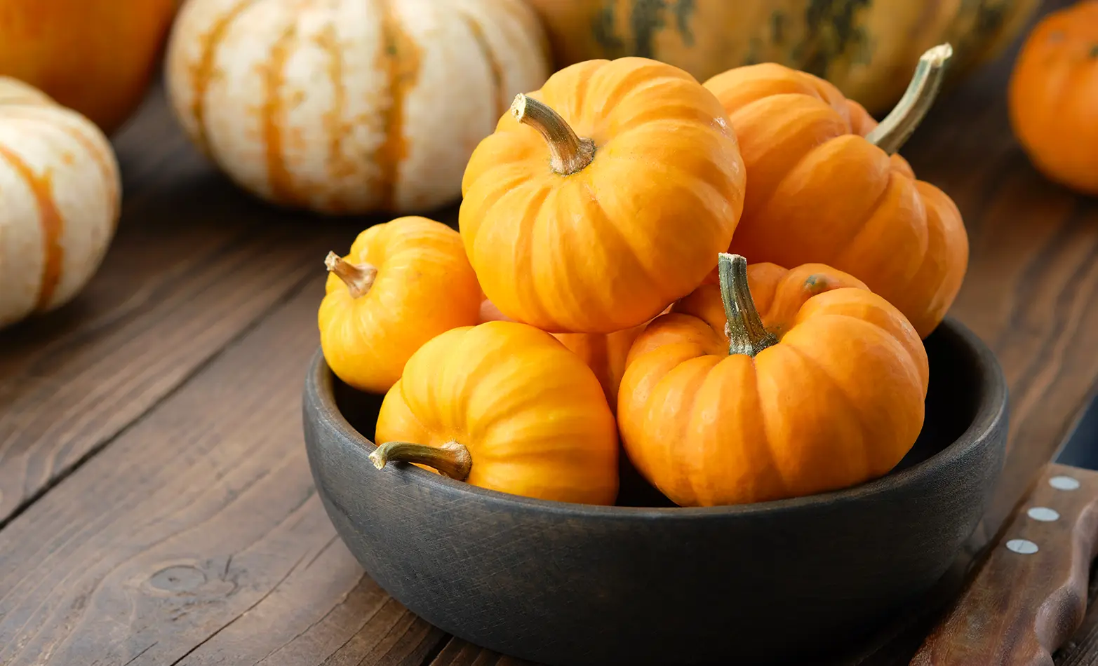 pumpkin fall fruit