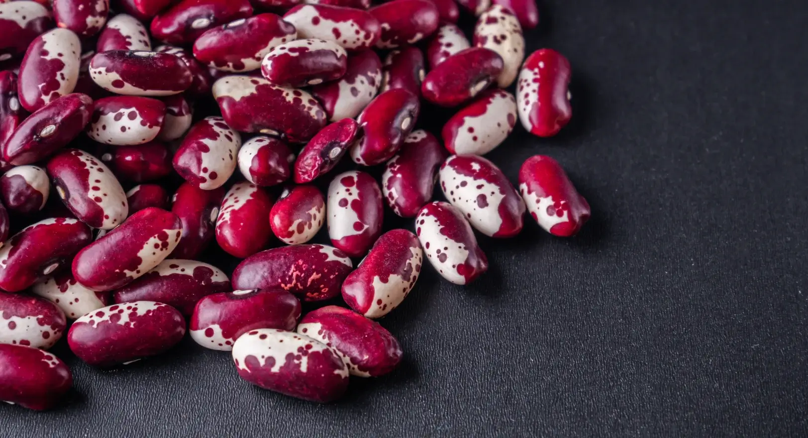 Close up of Jacob's cattle beans.