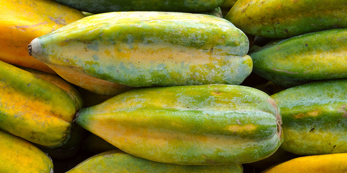 Origin and Uses for Babaco + Storage Tips – Instacart