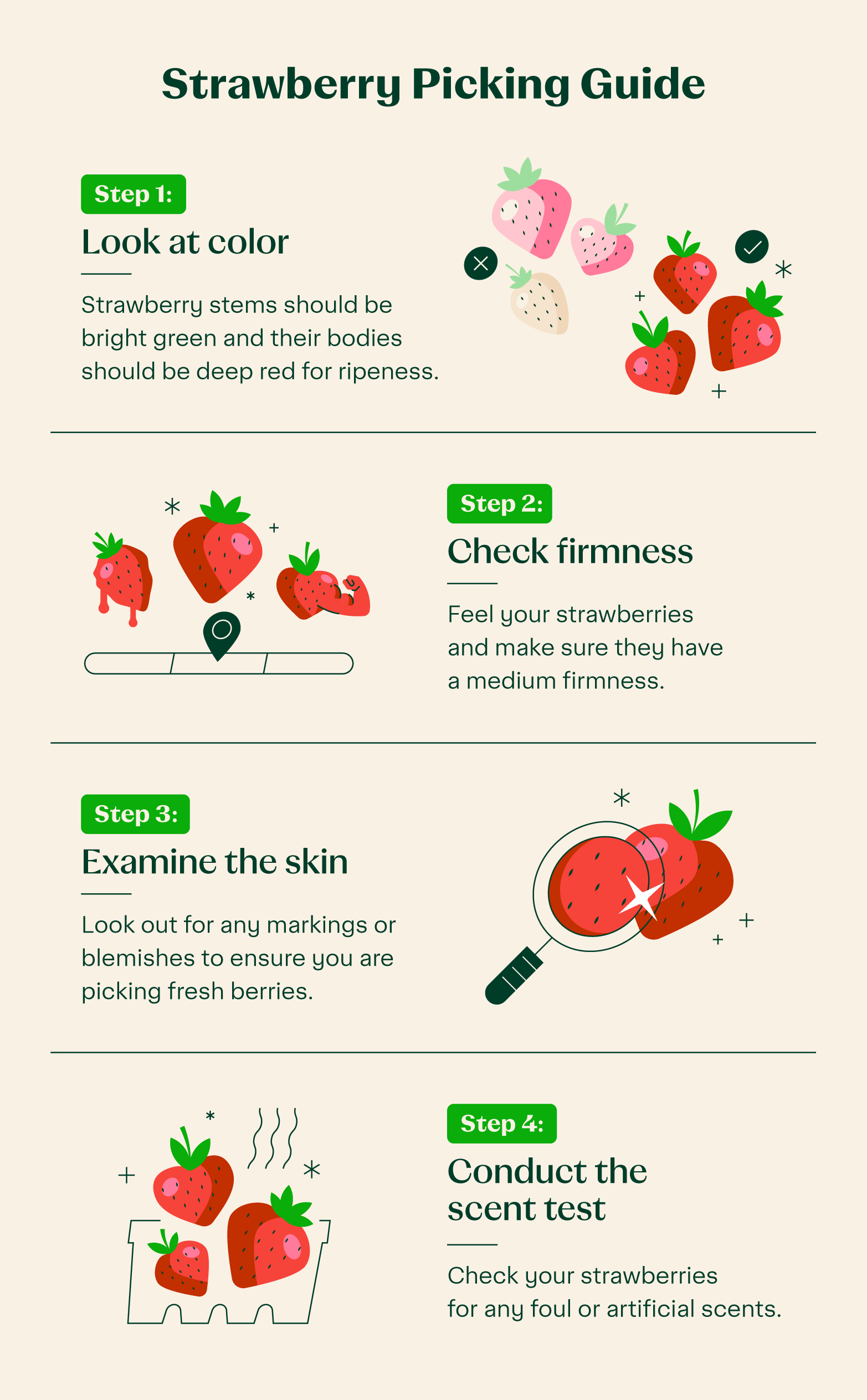 strawberry-picking-guide